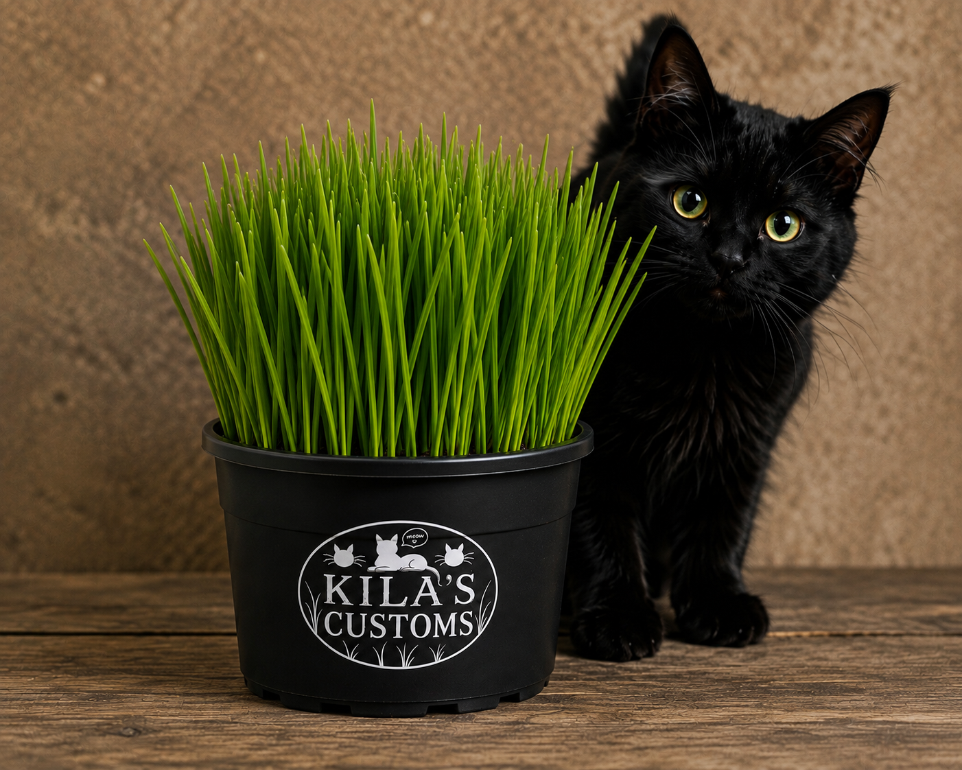 Organic Wheatgrass 4” inch pot